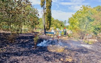 Incendiile necontrolate de vegetație au …