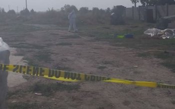 Polițiștii l-au prins pe autorul …