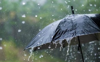 Cod Galben de ploi însemnate …