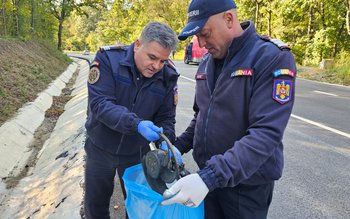 Pompierii botoșăneni au participat la …