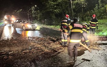 Furtuna din noaptea trecută a …