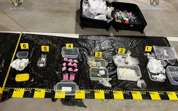 Tânăr de 23 de ani …