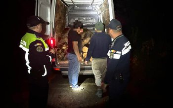 Material lemnos confiscat de polițiștii …