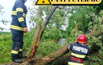 Cod galben de vânt pentru …