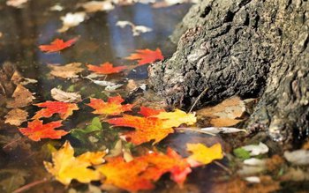 Se răcește puternic vremea. Vor …