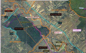 Deputata PSD Alexandra Huțu face …