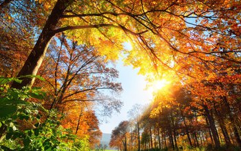 Vremea se schimbă brusc: Urmează …