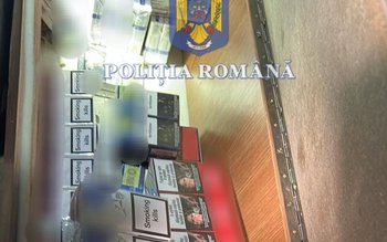 Percheziții și controale efectuate în …