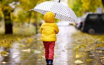 Vremea se răcește treptat și …