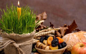 Ce alimente sunt permise în …