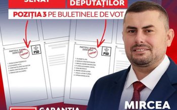 Mircea Magdalena: „Am votat singurul …