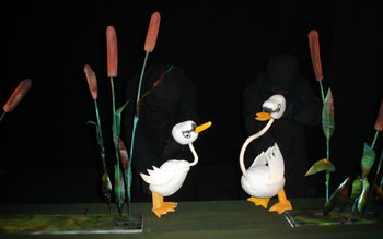 „Rățușca cea urâtă” din nou …