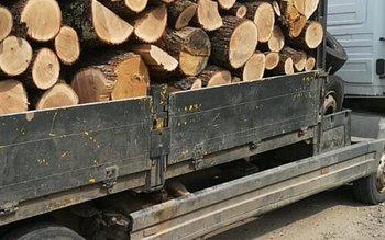 Material lemnos confiscat de polițiști …