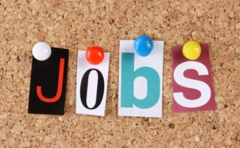 AJOFM Botoșani anunță 200 locuri de muncă vacante prin intermediul reţelei EURES