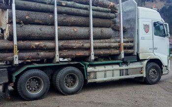 Razie de amploare în orașul …