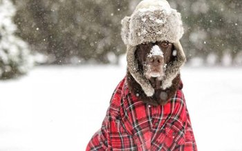 Un ciclon lovește Europa. Ce …