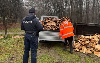 Material lemnos confiscat de Polițiștii …