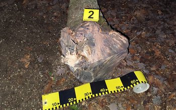 Acțiune comună a jandarmilor cu …