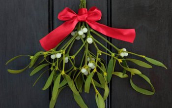 Semnificația vâscului. Motivul pentru care …