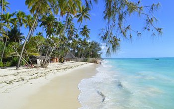 Zeci de români care așteptau …