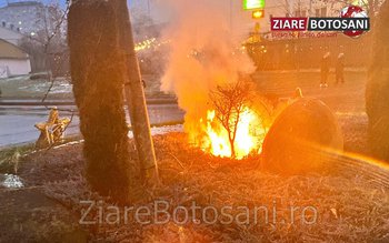 Un ornament stradal cu specific …