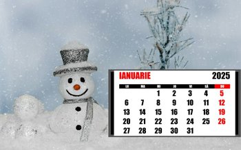 Cum va fi vremea în …