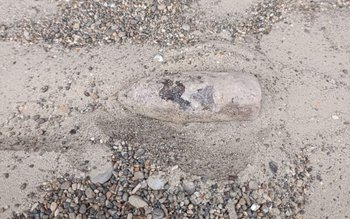 Element de muniție în perfectă …