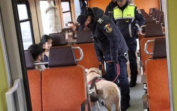 Acțiune a polițiștilor din cadrul …