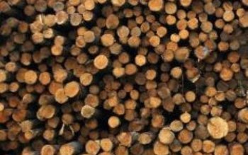 Material lemnos confiscat de polițiști …