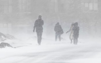 COD GALBEN de ninsori și …