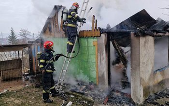 Anexa unei gospodării din Băiceni …