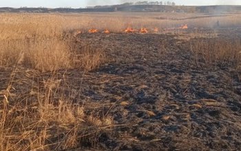 Două incendii de vegetație uscată …