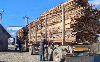 Peste 30 de metri cubi …