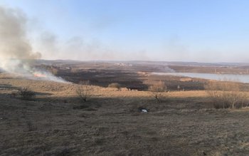 Doi bărbați amendați după ce …