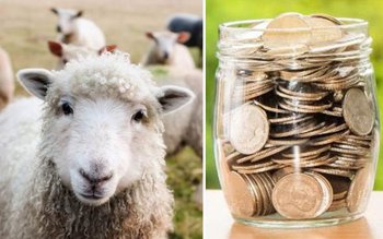 APIA începe procesul de acordare …