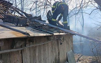Incendiu puternic într-o gospodărie din …