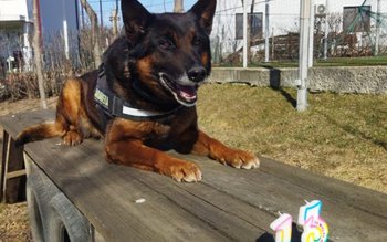 Treisprezece ani de loialitate, prietenie …