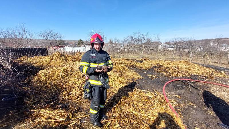 Nu distrugeți prin ardere vegetația uscată: pericol de incendiu!