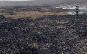 Stop incendiilor de vegetație uscată! …