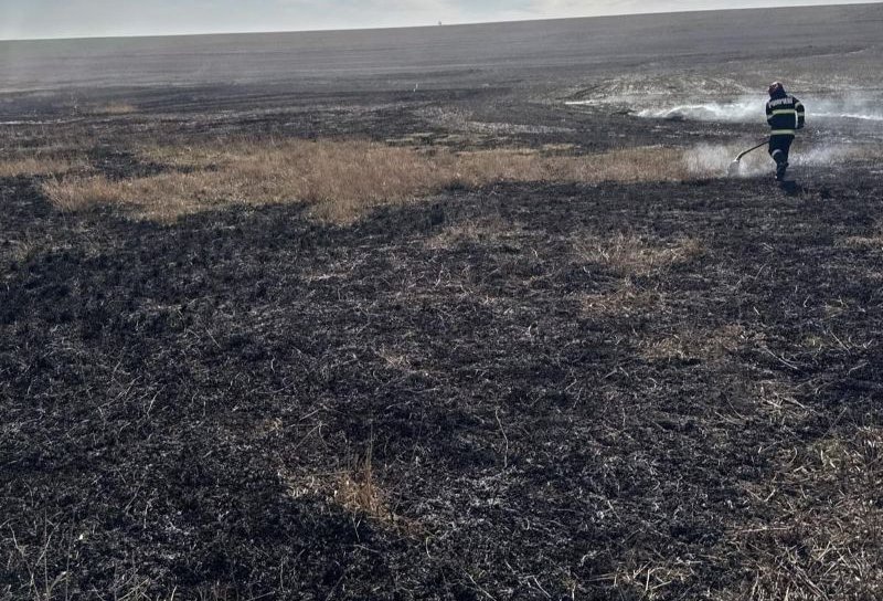 Stop incendiilor de vegetație uscată! O casă și 50 de hectare de rapiță au fost în pericol