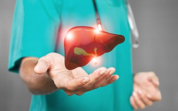 În cât timp se regenerează …