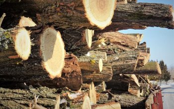 Doi metri cubi de material …