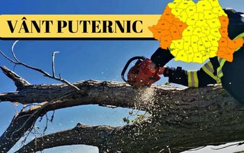 Avertizare tip cod galben de …