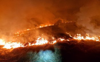 Șapte incendii de vegetație în …