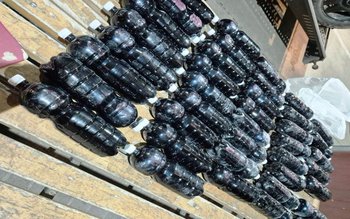 80 de litri de vin …