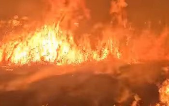 Pompierii au intervenit pentru stingerea …