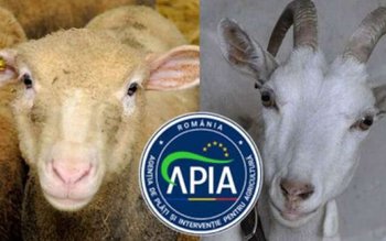 APIA CJ Botosani a primit …