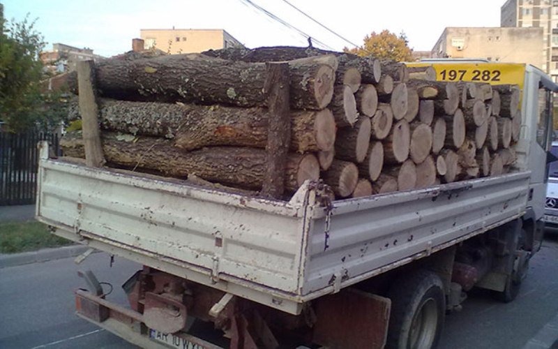 Material lemnos fără documente de proveniență confiscat