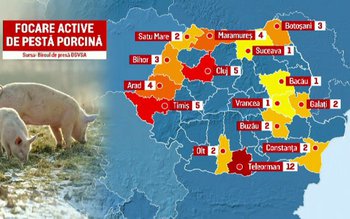 50 de focare de pestă …