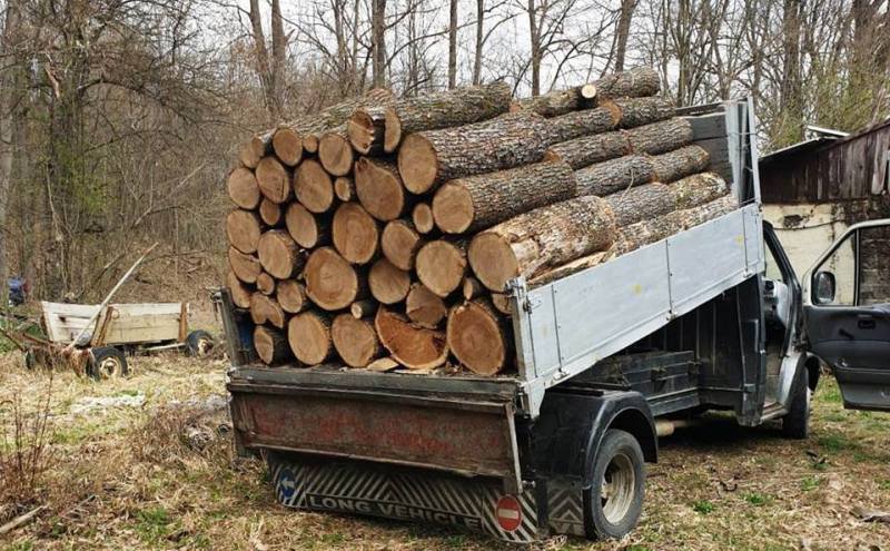 Material lemnos confiscat de polițiști la Ibănești